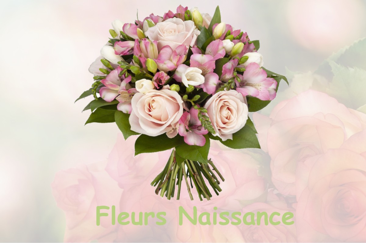 fleurs naissance BRESSIEUX