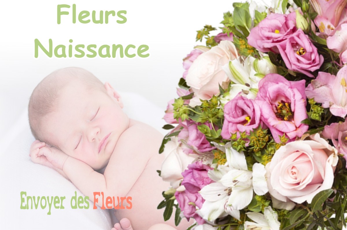 lIVRAISON FLEURS NAISSANCE à BRESSIEUX